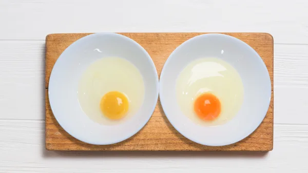 galeria-huevos-fritos-avicola-alianza